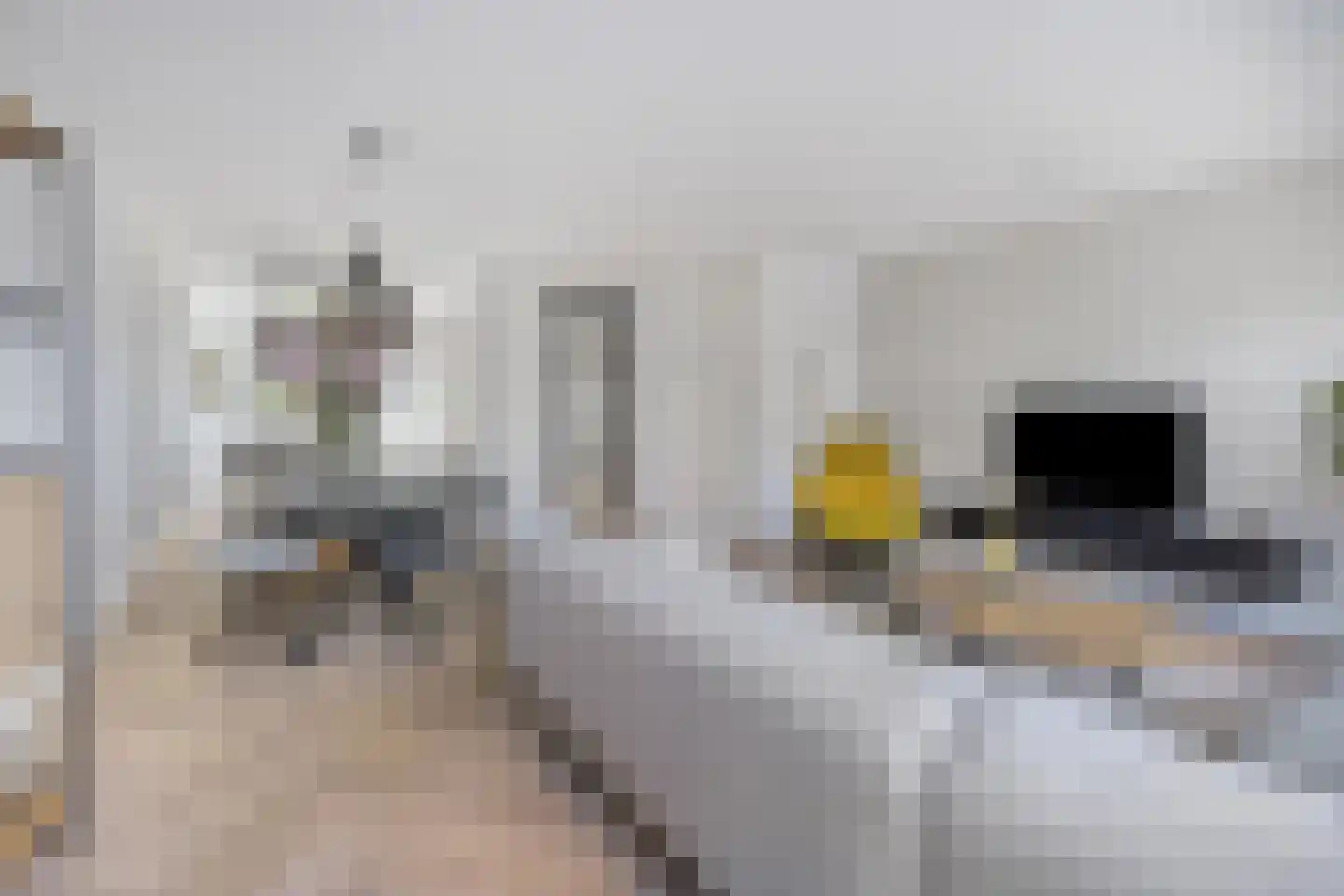 Adama van Scheltemalaan 3 Blaricum thumbnail 11