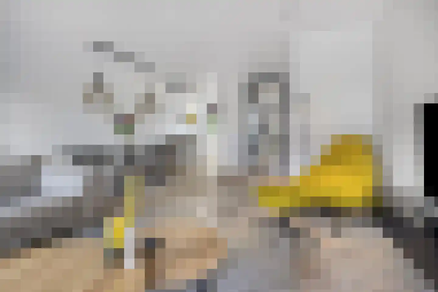 Adama van Scheltemalaan 3 Blaricum thumbnail 12