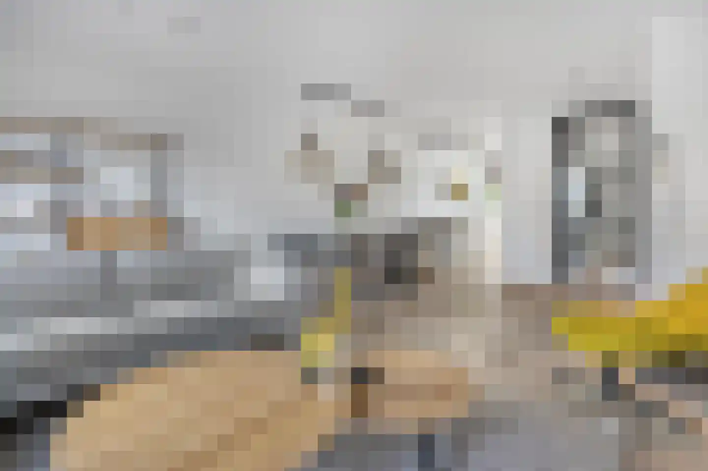 Adama van Scheltemalaan 3 Blaricum thumbnail 13