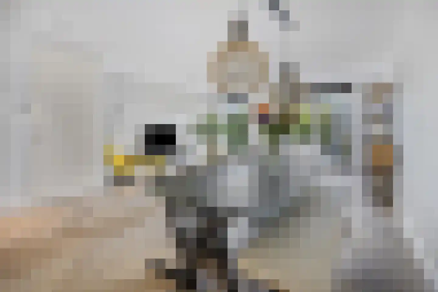 Adama van Scheltemalaan 3 Blaricum thumbnail 14