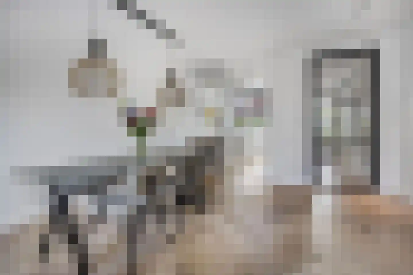 Adama van Scheltemalaan 3 Blaricum thumbnail 15