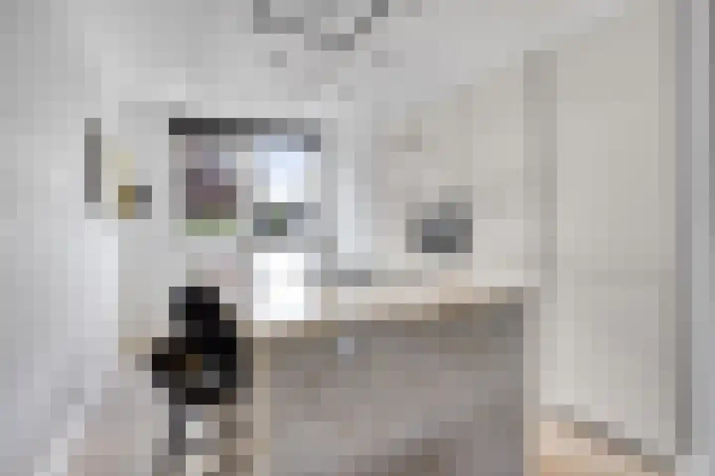 Adama van Scheltemalaan 3 Blaricum thumbnail 17