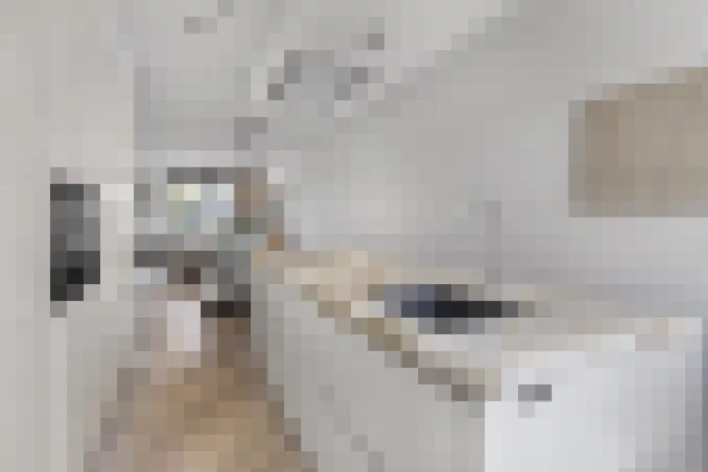 Adama van Scheltemalaan 3 Blaricum thumbnail 18