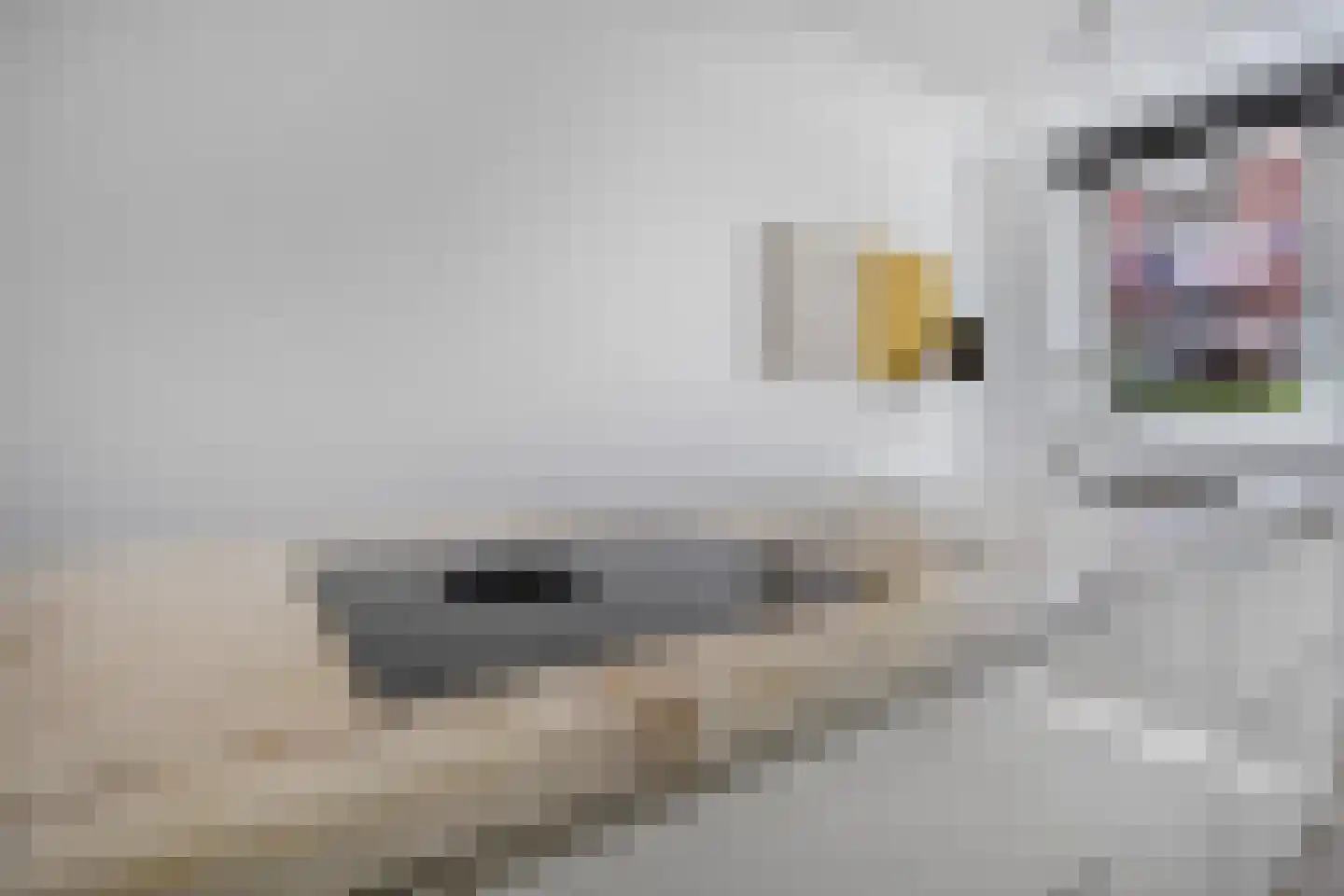 Adama van Scheltemalaan 3 Blaricum thumbnail 20