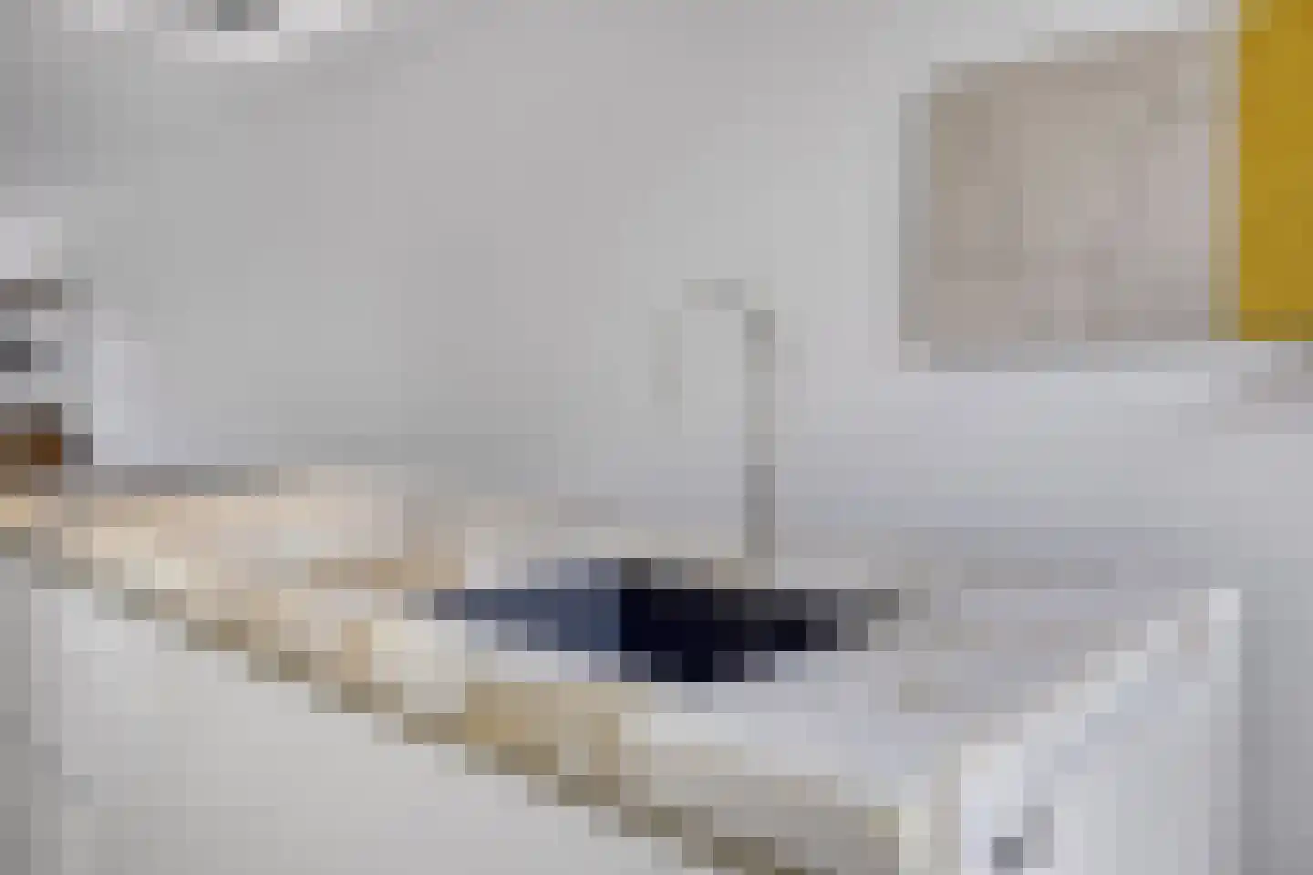 Adama van Scheltemalaan 3 Blaricum thumbnail 21