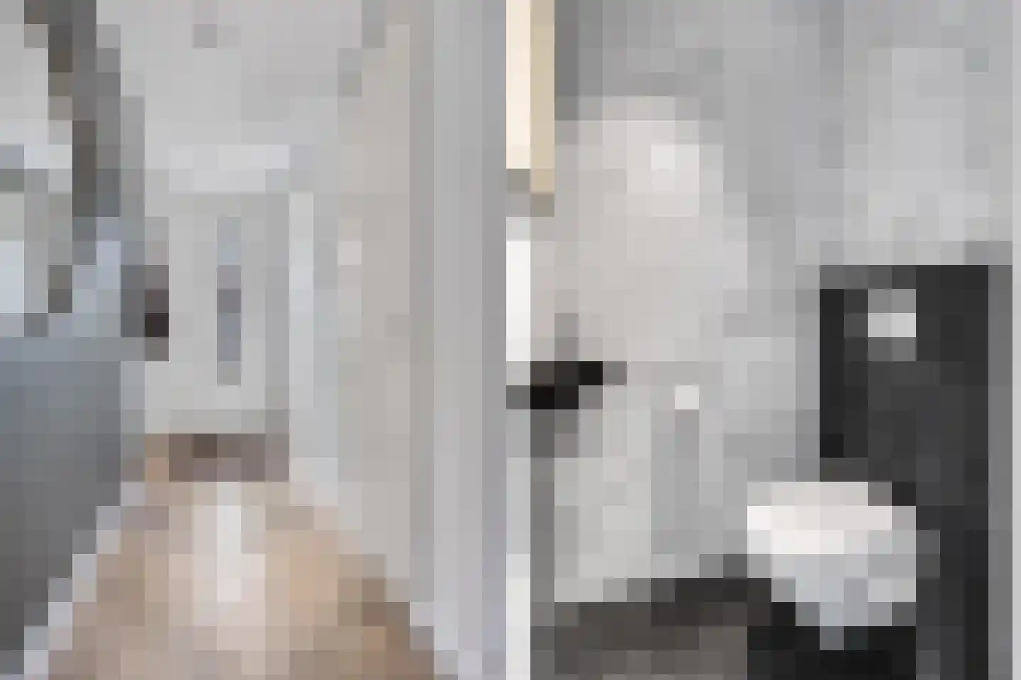 Adama van Scheltemalaan 3 Blaricum thumbnail 22
