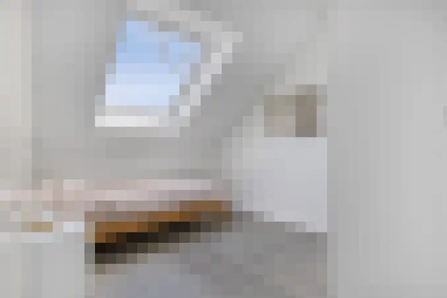 Adama van Scheltemalaan 3 Blaricum thumbnail 39