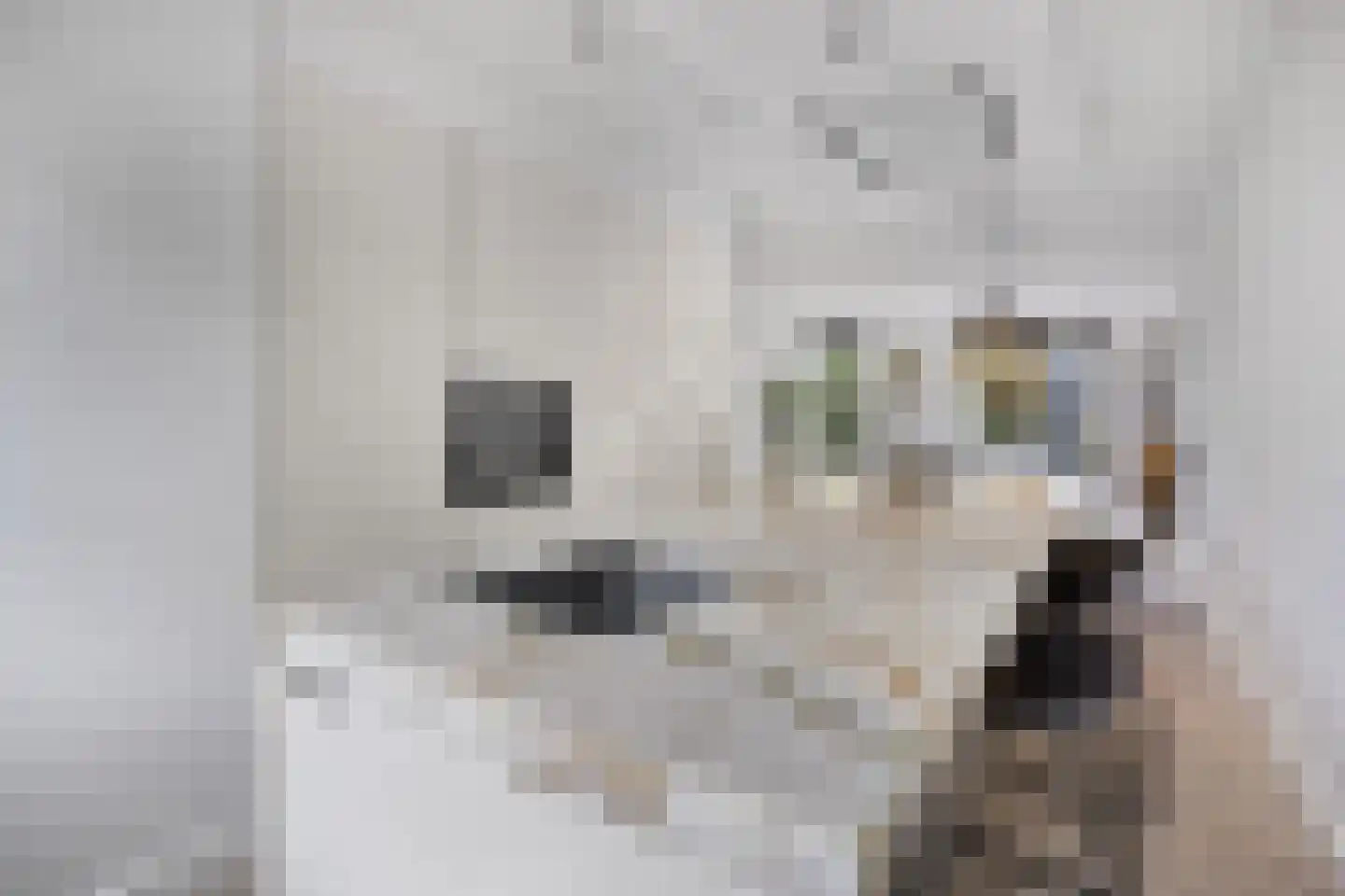 Adama van Scheltemalaan 3 Blaricum thumbnail 4