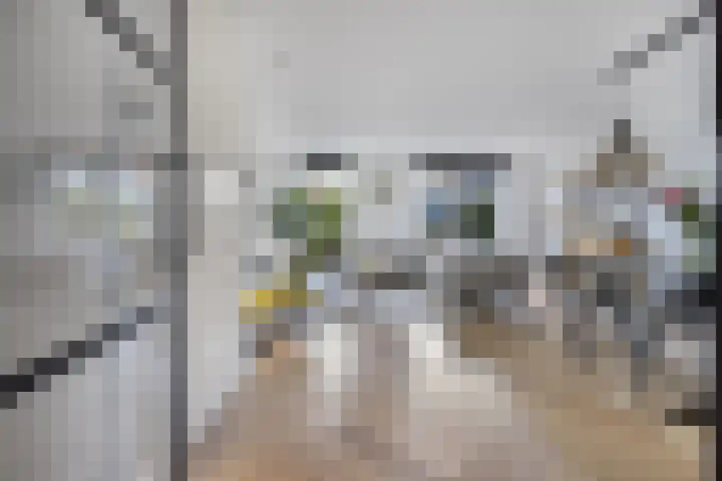 Adama van Scheltemalaan 3 Blaricum thumbnail 9