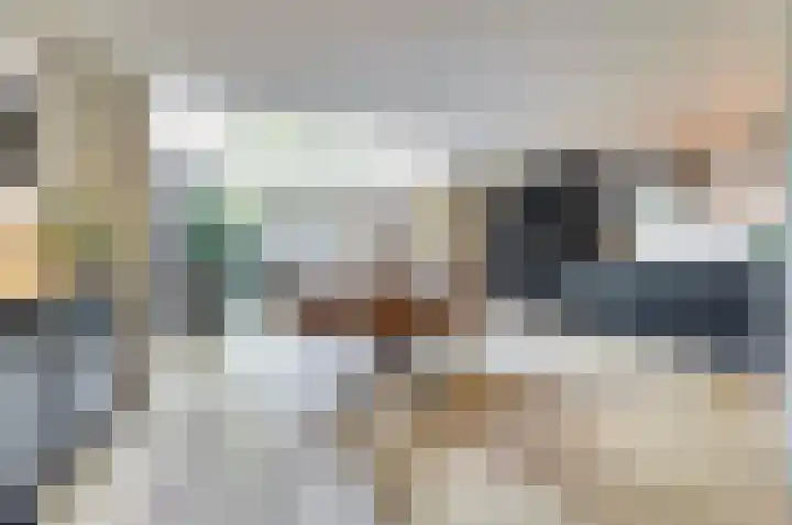 Adama van Scheltemalaan 6 Bladel thumbnail 10