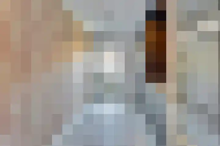 Adama van Scheltemalaan 6 Bladel thumbnail 19