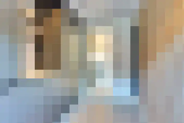 Adama van Scheltemalaan 6 Bladel thumbnail 20