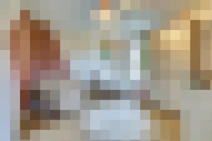 Adama van Scheltemalaan 6 Bladel thumbnail 23