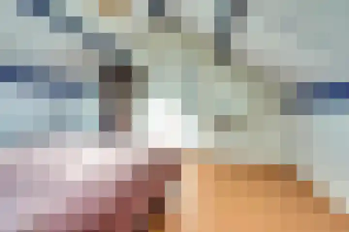 Adama van Scheltemalaan 6 Bladel thumbnail 30