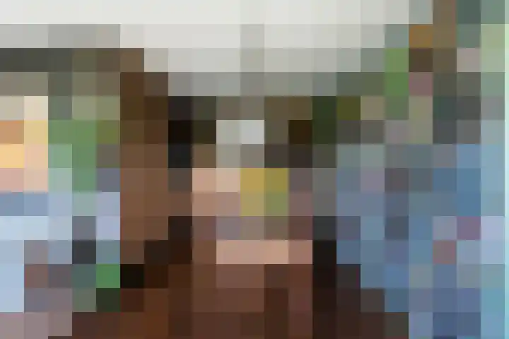 Adama van Scheltemaplein 14 Delft thumbnail 11
