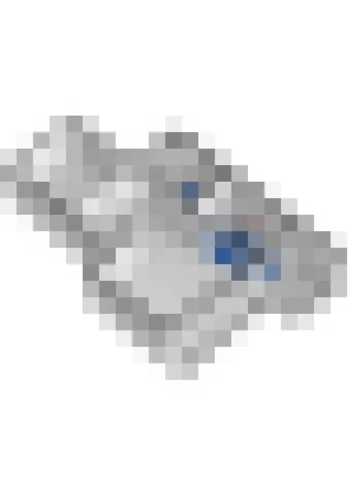 Adama van Scheltemaplein 14 Delft thumbnail 43
