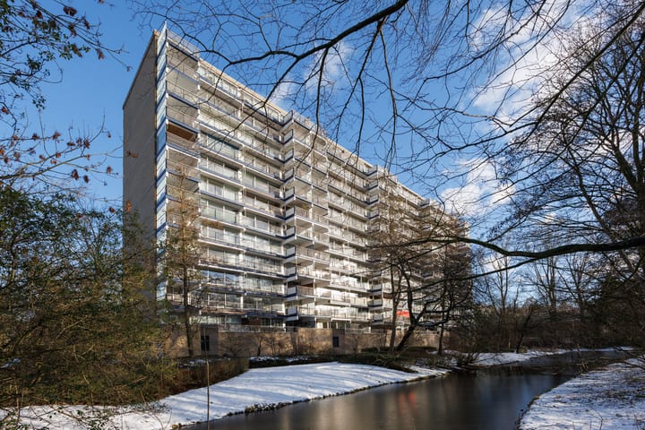 Adama van Scheltemaplein 43 in Delft photo