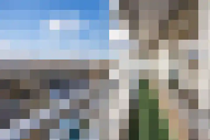 Adama van Scheltemaplein 43 Delft thumbnail 12