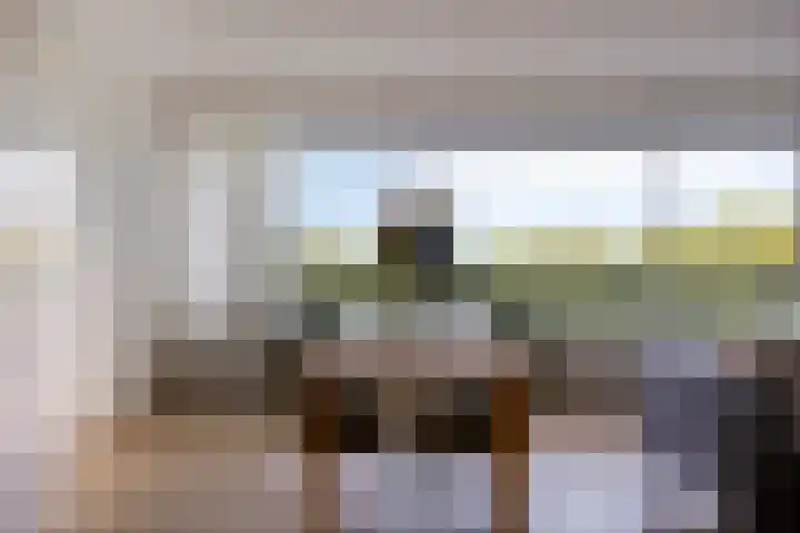 Adama van Scheltemaplein 60 Delft thumbnail 7