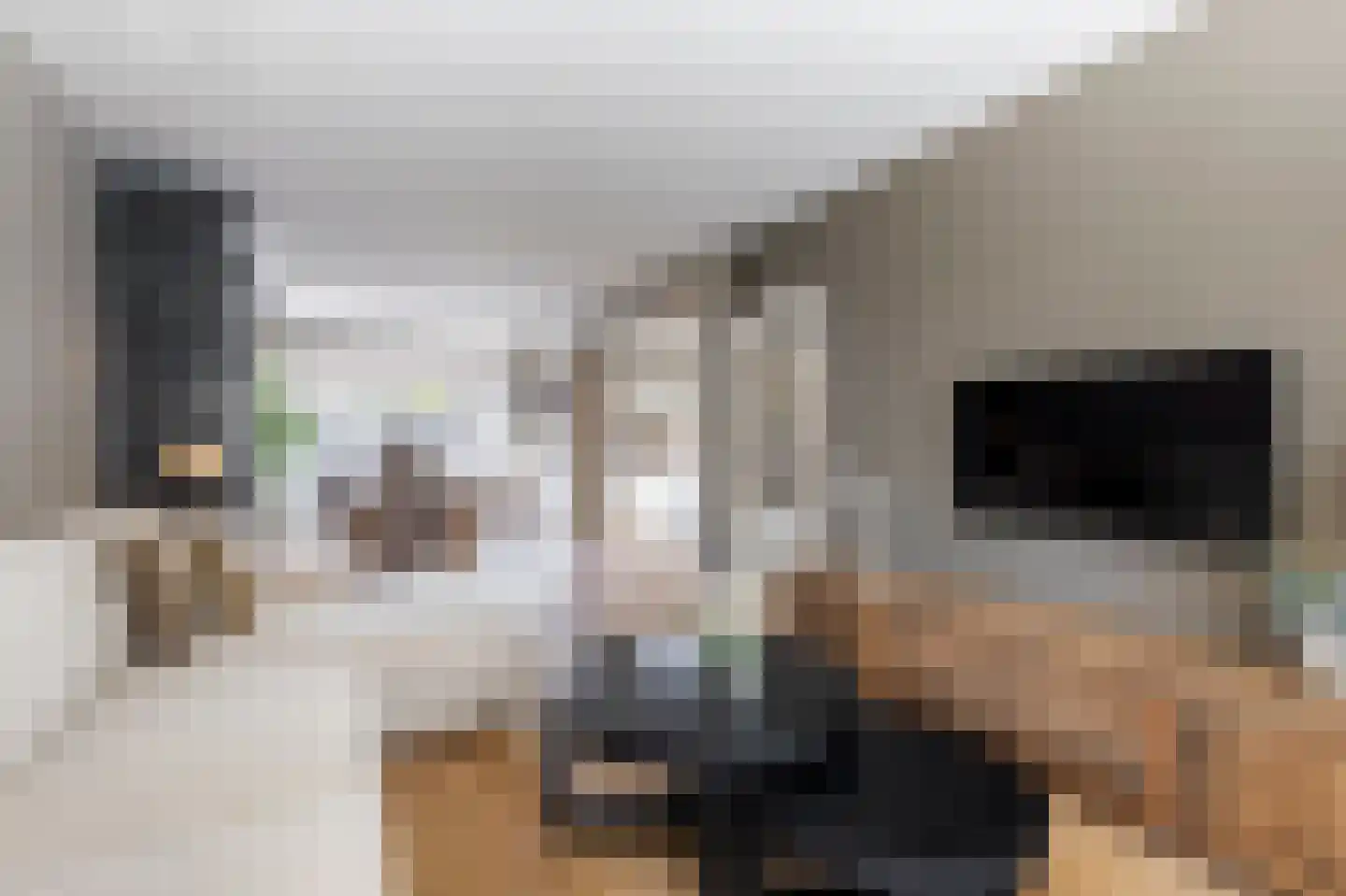 Adama van Scheltemastraat 10 Sliedrecht thumbnail 12