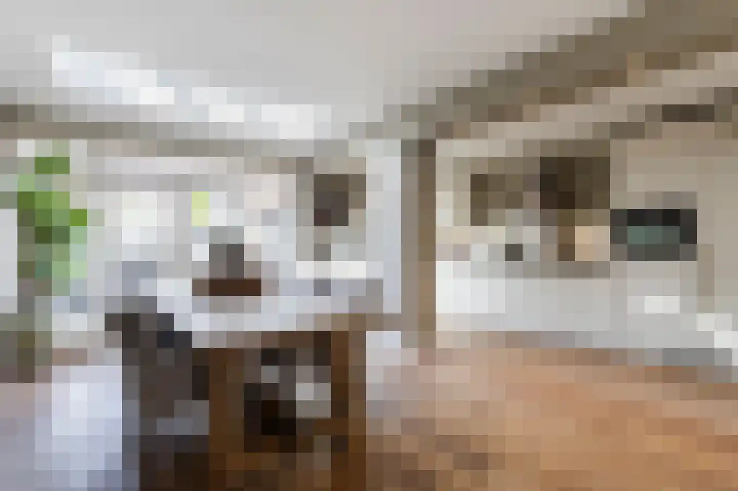 Adama van Scheltemastraat 10 Sliedrecht thumbnail 13