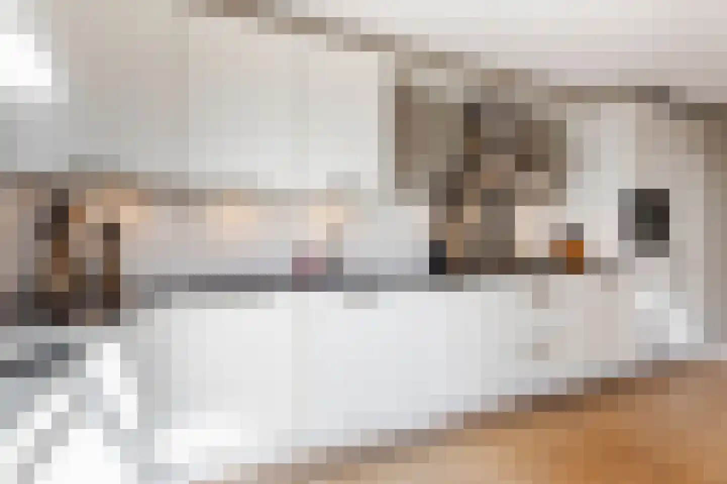 Adama van Scheltemastraat 10 Sliedrecht thumbnail 18