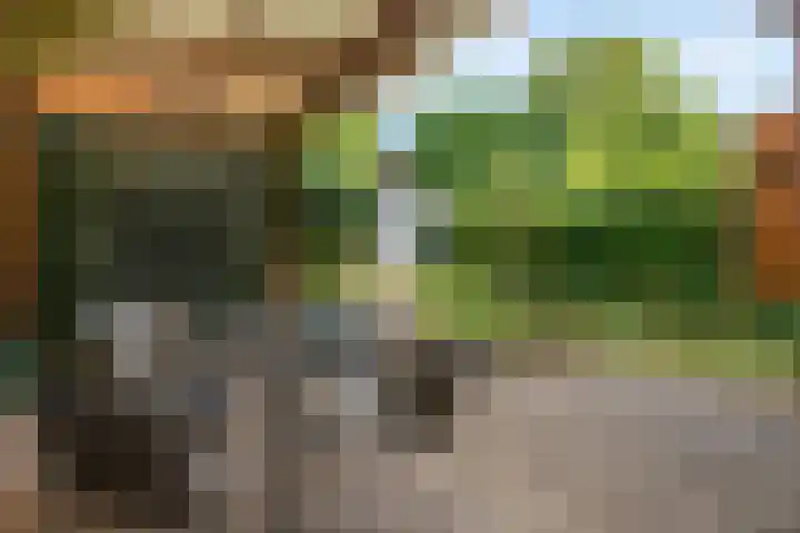 Adama van Scheltemastraat 12 Arnhem thumbnail 20
