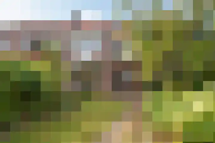 Adama van Scheltemastraat 12 Arnhem thumbnail 22