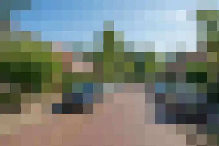 Adama van Scheltemastraat 12 Arnhem thumbnail 35