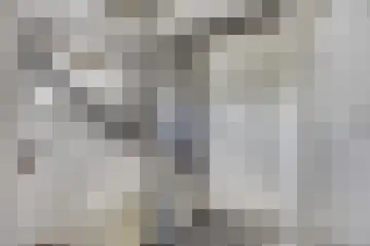 Adama van Scheltemastraat 13 Krimpen aan de Lek thumbnail 17