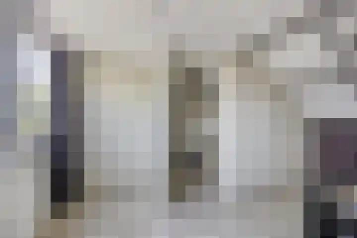 Adama van Scheltemastraat 13 Krimpen aan de Lek thumbnail 27