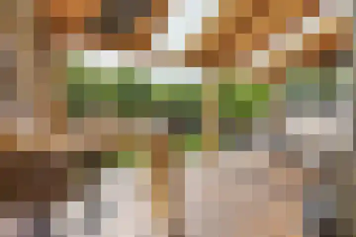 Adama van Scheltemastraat 13 Krimpen aan de Lek thumbnail 32