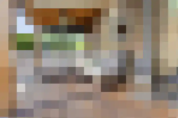 Adama van Scheltemastraat 13 Krimpen aan de Lek thumbnail 33