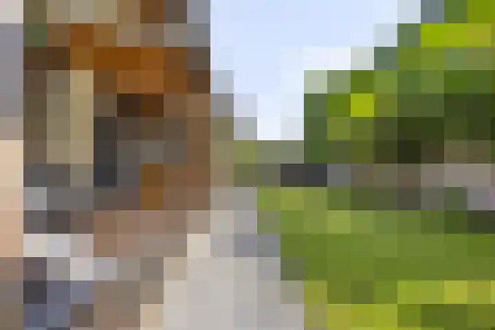 Adama van Scheltemastraat 13 Krimpen aan de Lek thumbnail 34