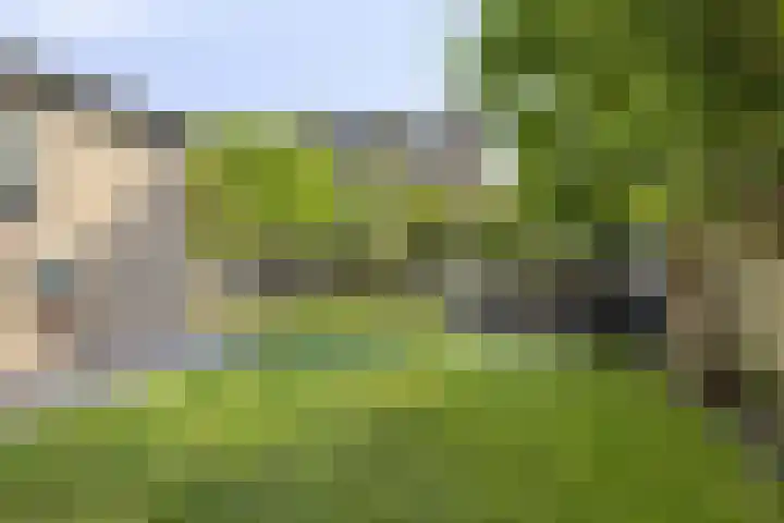 Adama van Scheltemastraat 13 Krimpen aan de Lek thumbnail 35