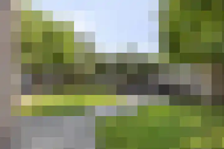 Adama van Scheltemastraat 13 Krimpen aan de Lek thumbnail 36