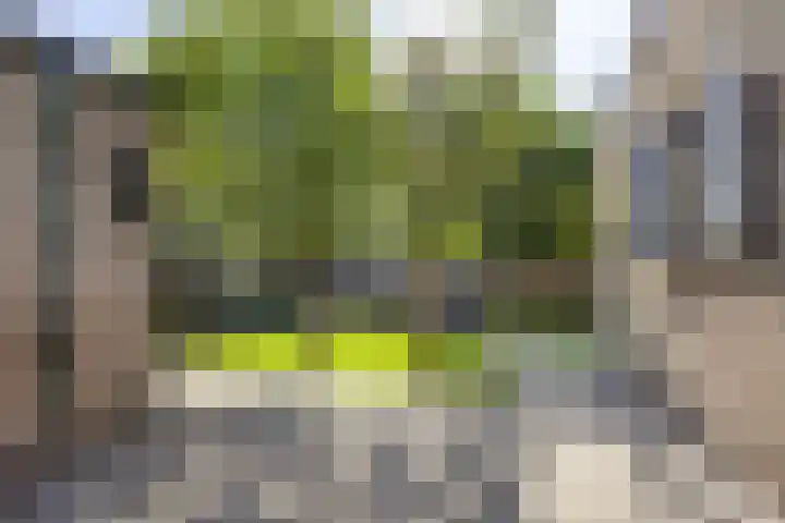 Adama van Scheltemastraat 13 Krimpen aan de Lek thumbnail 37