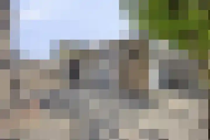 Adama van Scheltemastraat 13 Krimpen aan de Lek thumbnail 38
