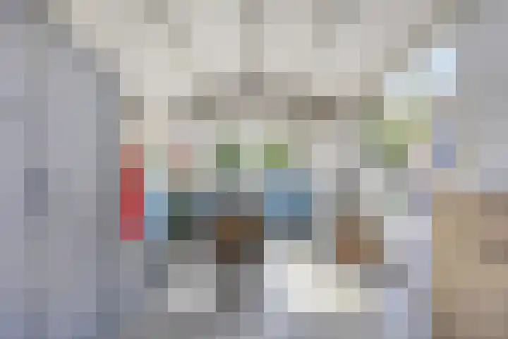 Adama van Scheltemastraat 13 Krimpen aan de Lek thumbnail 39
