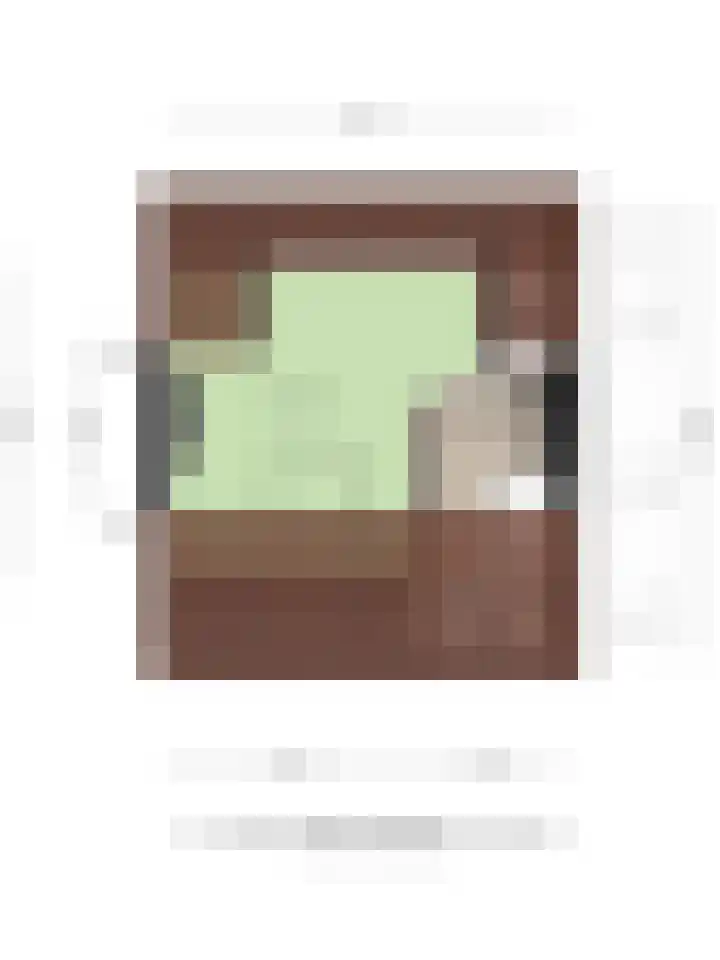 Adama van Scheltemastraat 13 Krimpen aan de Lek thumbnail 44