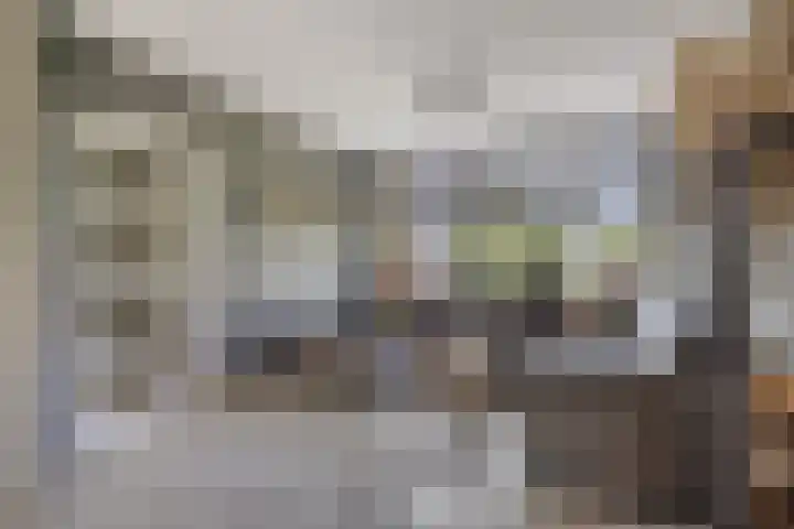 Adama van Scheltemastraat 13 Krimpen aan de Lek thumbnail 8