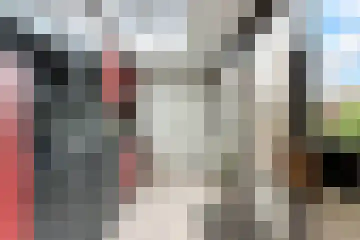 Adama van Scheltemastraat 28 Sliedrecht thumbnail 15