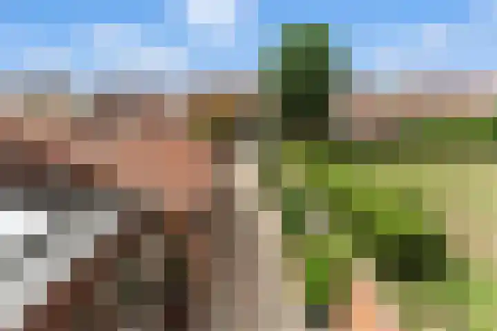 Adama van Scheltemastraat 28 Sliedrecht thumbnail 26