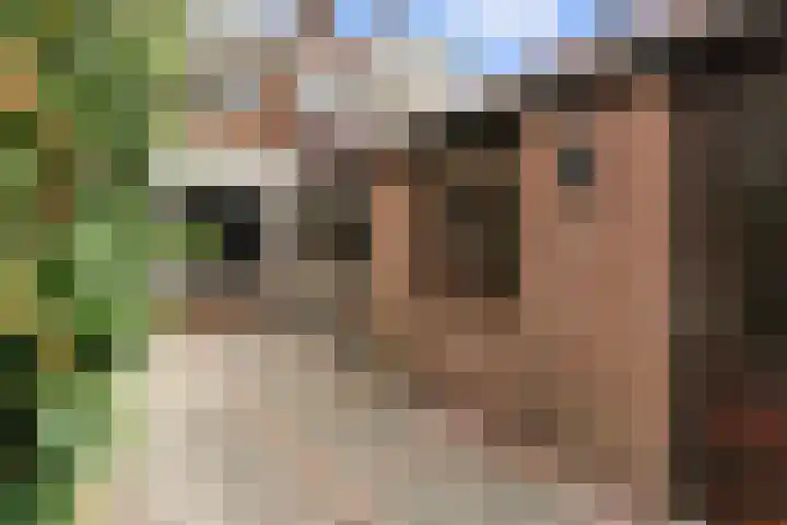 Adama van Scheltemastraat 28 Sliedrecht thumbnail 44