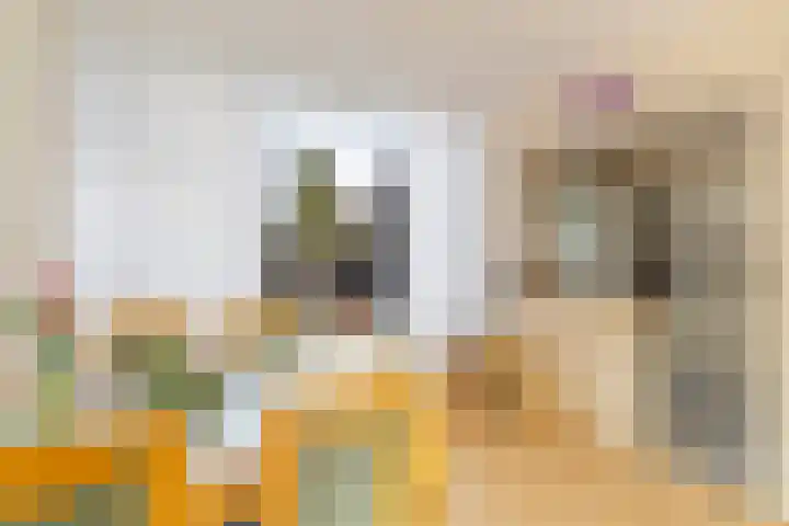 Adama van Scheltemastraat 3 Krimpen aan de Lek thumbnail 10