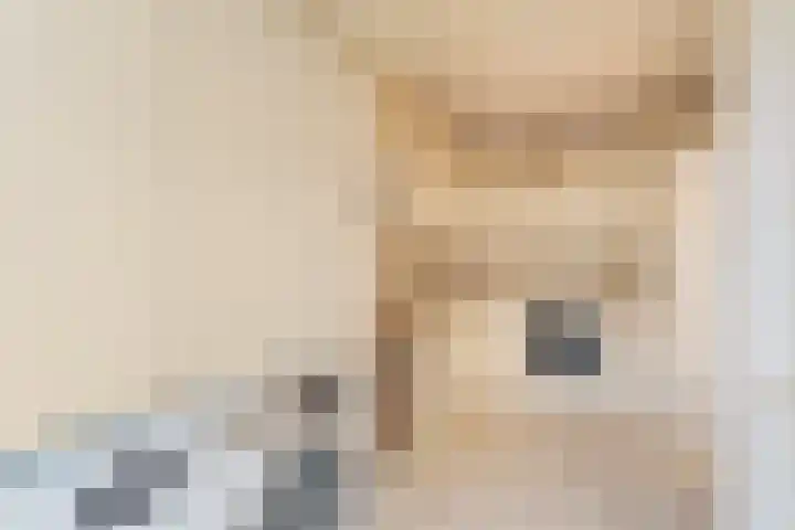 Adama van Scheltemastraat 3 Krimpen aan de Lek thumbnail 12