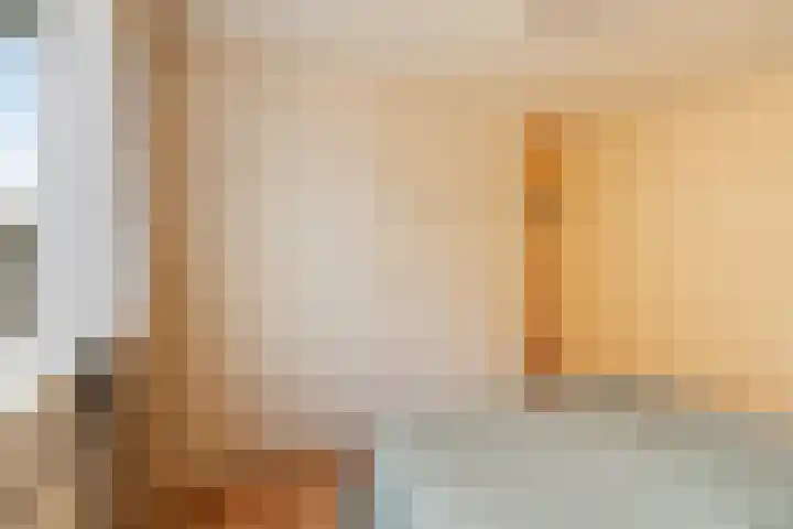 Adama van Scheltemastraat 3 Krimpen aan de Lek thumbnail 16