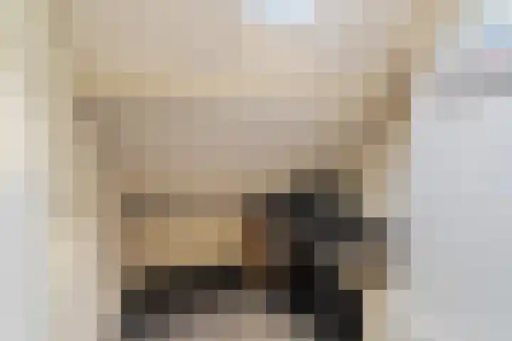 Adama van Scheltemastraat 3 Krimpen aan de Lek thumbnail 23