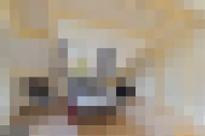 Adama van Scheltemastraat 3 Krimpen aan de Lek thumbnail 25