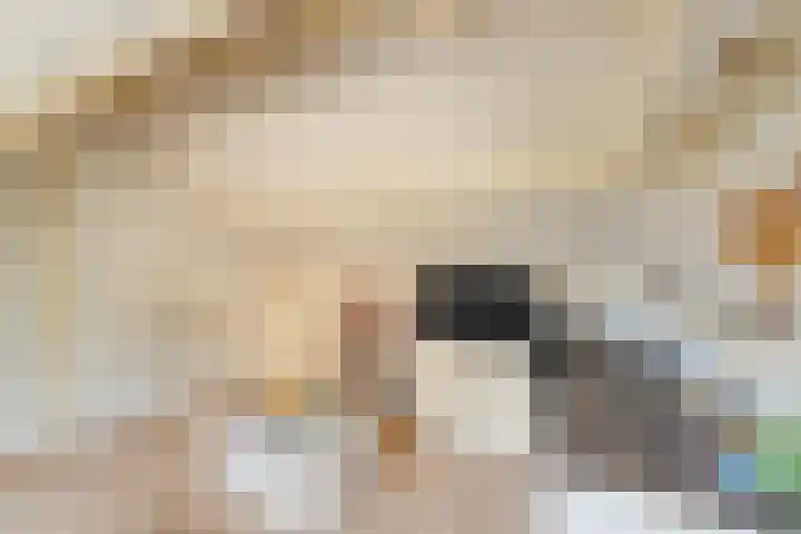 Adama van Scheltemastraat 3 Krimpen aan de Lek thumbnail 26